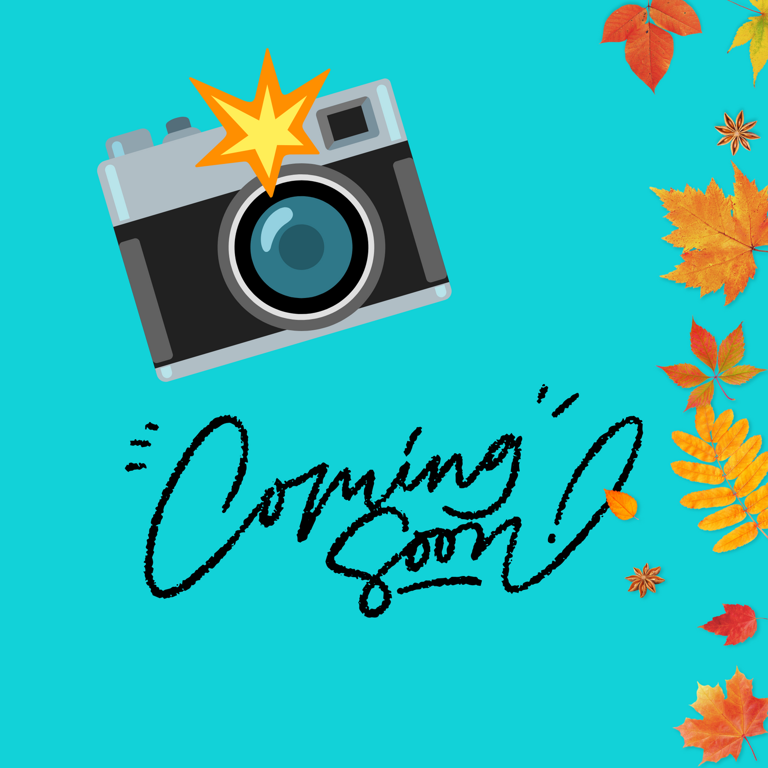 Meal Prep - Locals ONLY